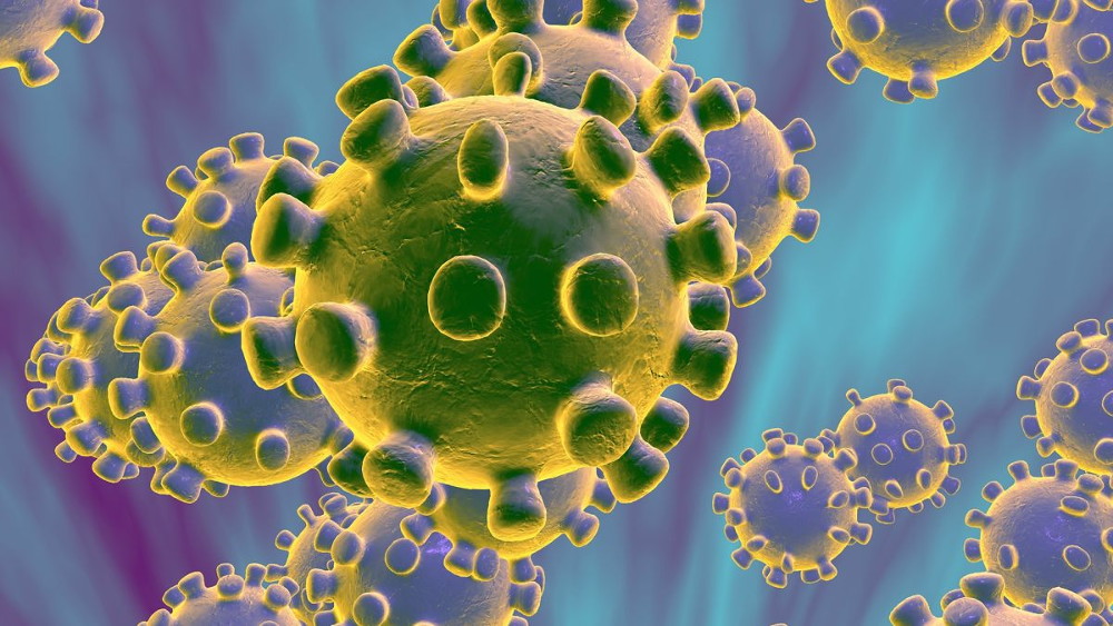 Junta de Freguesia aprova Plano de Contingência Coronavírus